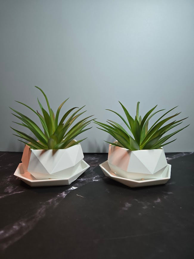 Two Piece Geometric Succulent Planter with Tray