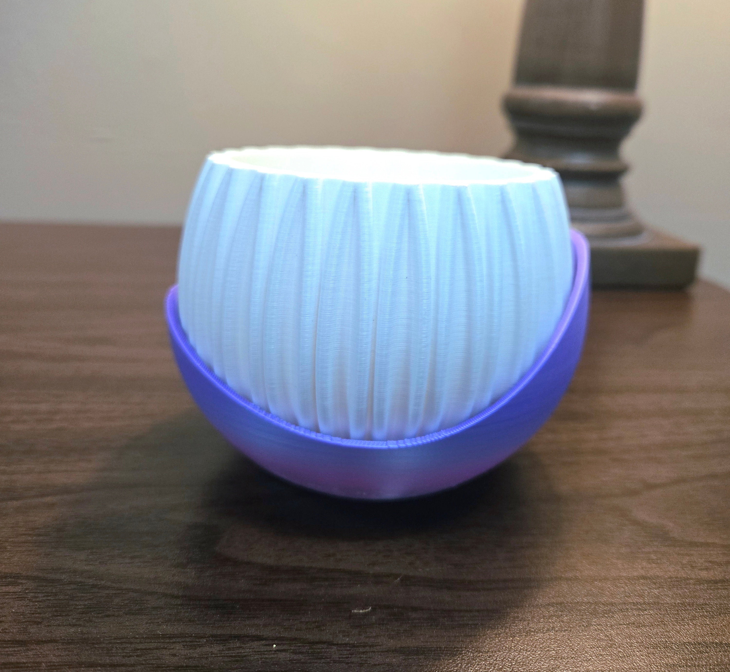 Modern Succulent Pot with Curved Drip Tray